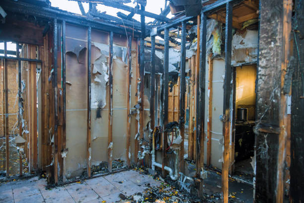 Professional Fire Damage Removal technician working in Homeacre-Lyndora, PA